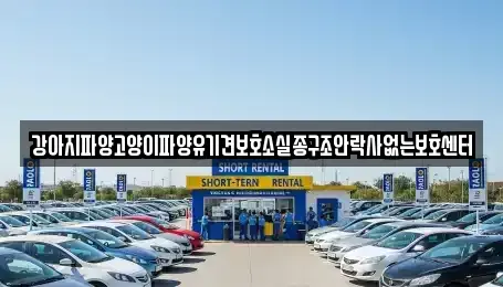 충청남도 부여군 충화면 중고차매입 전문 강아지파양고양이파양유기견보호소실종구조안락사없는보호센터