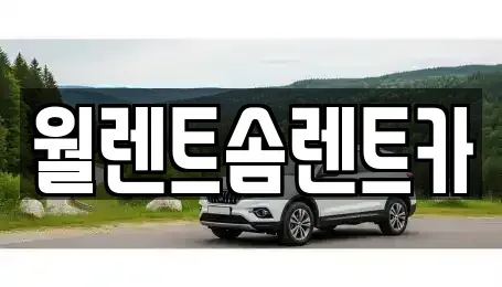 충청남도 아산시 신동 렌트카 전문 월렌트솜렌트카