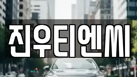 충청남도 중고차매매 전문 진우티엔씨
