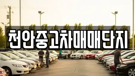 충청남도 중고차매매 전문 천안중고차매매단지