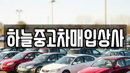 충청남도 중고차매입 전문 하늘중고차매입상사