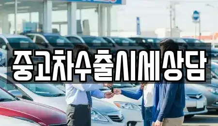 충청남도 천안시 동남구 다가동 중고차 전문 중고차수출시세상담