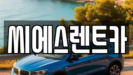 충청남도 천안시 동남구 사직동 렌트카 전문 씨에스렌트카
