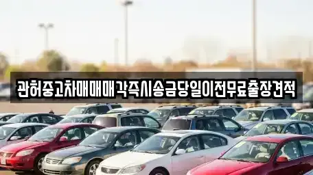 충청남도 천안시 동남구 사직동 중고차 전문 관허중고차매매매각즉시송금당일이전무료출장견적