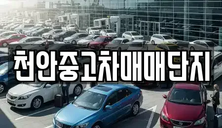 충청남도 천안시 동남구 사직동 중고차 전문 천안중고차매매단지