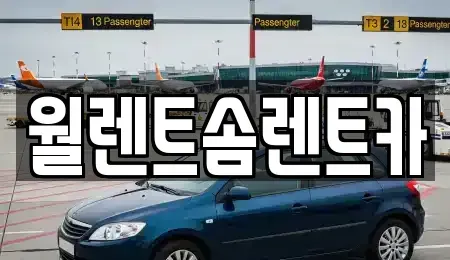 충청남도 천안시 서북구 백석동 렌트카 전문 월렌트솜렌트카