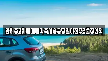 충청남도 천안시 서북구 백석동 중고차매매 전문 관허중고차매매매각즉시송금당일이전무료출장견적