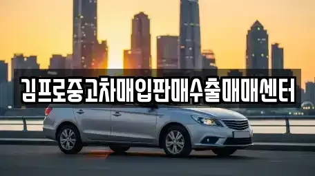 충청남도 천안시 서북구 백석동 중고차매입 전문 김프로중고차매입판매수출매매센터