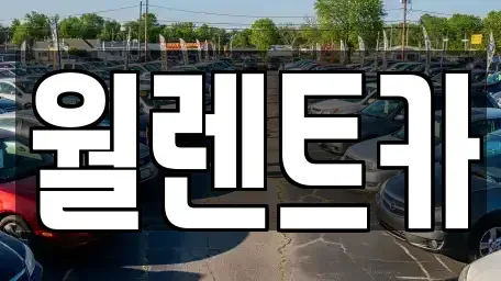 충청남도 천안시 서북구 불당동 렌트카 전문 월렌트카