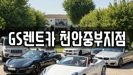 충청남도 천안시 서북구 성성동 렌트카,단기렌트카,장기렌트카,중고차,중고차매매,중고차매입