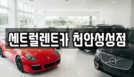 충청남도 천안시 서북구 성성동 렌트카 전문 센트럴렌트카 천안성성점