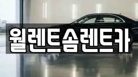 충청남도 천안시 서북구 성성동 렌트카 전문 월렌트솜렌트카