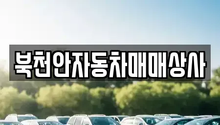 충청남도 천안시 서북구 입장면 중고차,렌트카,중고차매입,중고차매매,장기렌트카,단기렌트카