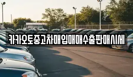 충청남도 청양군 남양면 중고차매입 전문 카카오토중고차매입매매수출판매시세