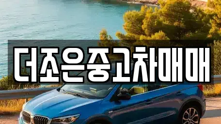 충청남도 홍성군 중고차매매 전문 더조은중고차매매