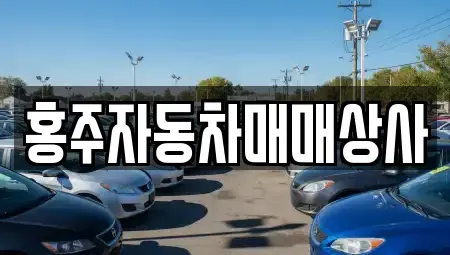 충청남도 홍성군 중고차매매,단기렌트카,중고차매입,장기렌트카,중고차,렌트카