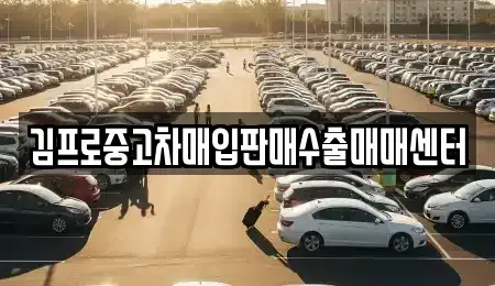 충청남도 홍성군 중고차매입 전문 김프로중고차매입판매수출매매센터
