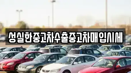 충청남도 홍성군 중고차매입 전문 성실한중고차수출중고차매입시세