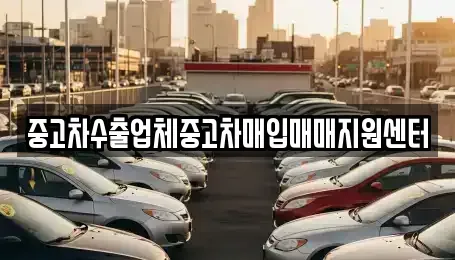 충청남도 홍성군 중고차매입 전문 중고차수출업체중고차매입매매지원센터