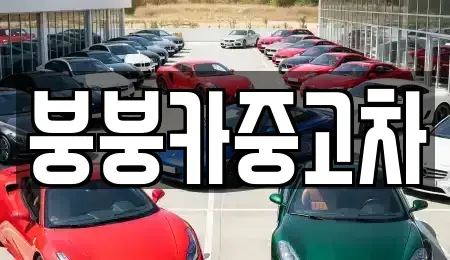 충청북도 단양군 영춘면 중고차 전문 붕붕카중고차