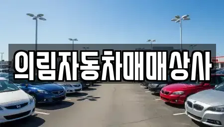 충청북도 제천시 덕산면 중고차 전문 의림자동차매매상사