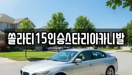 충청북도 제천시 두학동 렌트카 전문 쏠라티15인승스타리아카니발