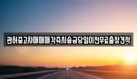 충청북도 청주시 상당구 서운동 중고차매매 전문 관허중고차매매매각즉시송금당일이전무료출장견적
