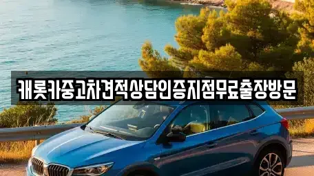충청북도 청주시 상당구 서운동 중고차매매 전문 캐롯카중고차견적상담인증지점무료출장방문