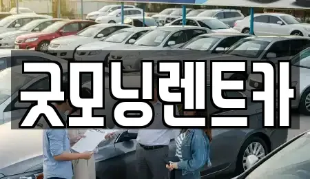 충청북도 청주시 흥덕구 가경동 렌트카 전문 굿모닝렌트카