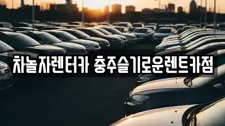 충청북도 충주시 안림동 렌트카 전문 차놀자렌터카 충주슬기로운렌트카점