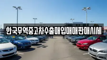 충청북도 충주시 안림동 중고차 전문 한국무역중고차수출매입매매판매시세