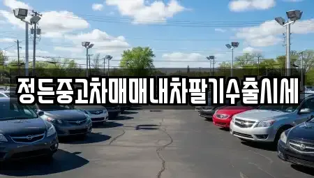 충청북도 충주시 용관동 중고차 전문 정든중고차매매내차팔기수출시세